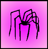 spider